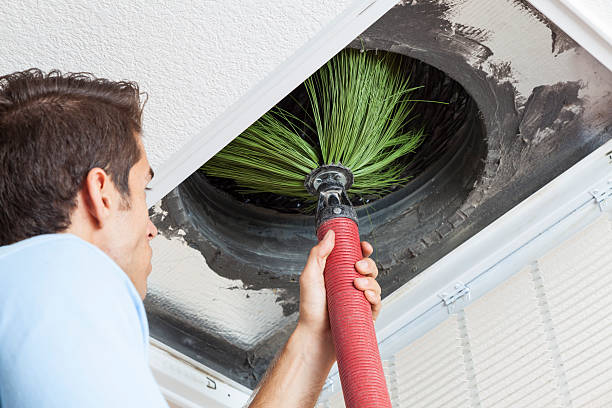 Best Duct Repair and Sealing Services in Rogers, MN