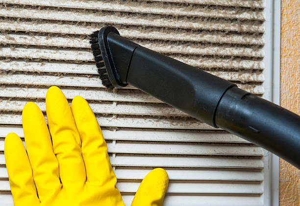 Best HVAC System Cleaning in Rogers, MN